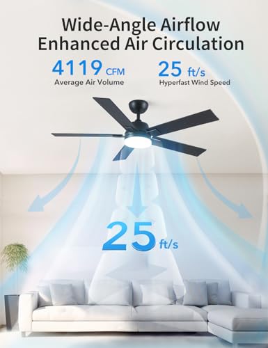 Rayqueen 52-Inch Black Ceiling Fan with Lights & Remote, Downrod Mount, Modern Design