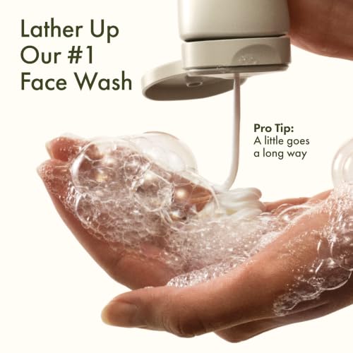 Origins Checks and Balances Frothy Face Wash 8.5 Fl Oz – Gentle Foaming Facial Cleanser for All Skin Types