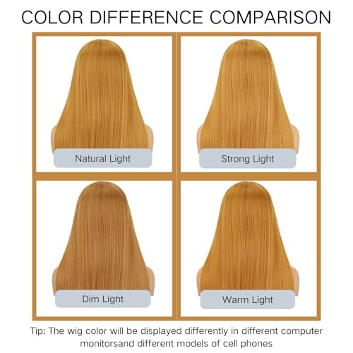 Honey Blonde 26-inch Synthetic Lace Front Wig for Women, Glueless & Pre-Plucked