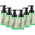 Swiffen Eucalyptus Foaming Hand Wash with Pump - Moisturizing 8.75 oz (6 Pack)