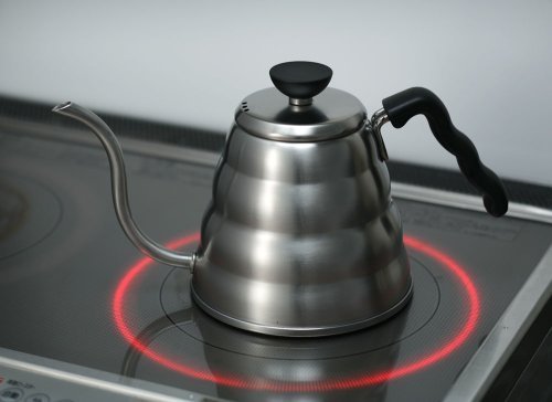 HARIO V60 Buono Stovetop Gooseneck Kettle - Silver / 1.3 Quarts