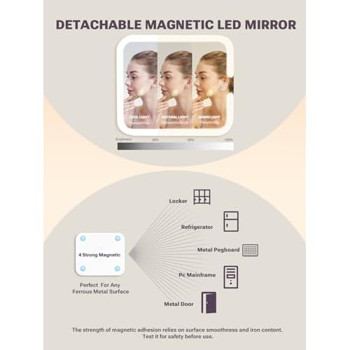 Qislee Makeup Box with A Detachable Lighted Mirror, Waterproof Travel Train Case, Cosmetic Organizer and Makeup Suitcase with Adjustable Dividers, Magnetic LED Mirror (Black)