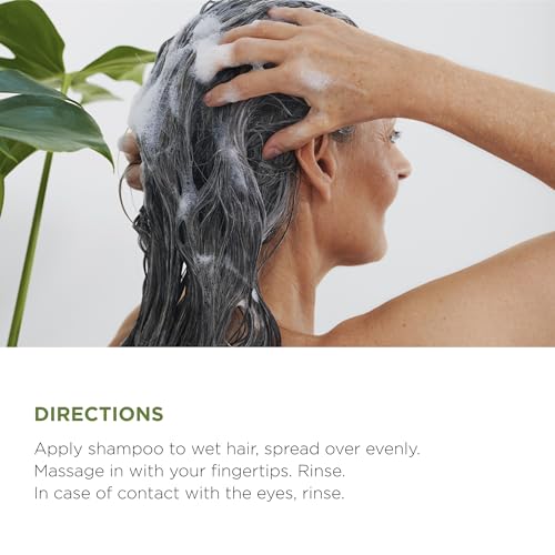 Lazartigue Intensive Repair Shampoo 8.4 Fl Oz - Hydrating & Damage Repair for Dry Hair