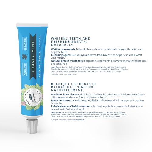 Frosty Mint Natural Organic Vegan Toothpaste - Fluoride & Gluten Free, 75ml, 3 Pack