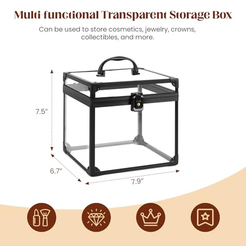 Clear Makeup Case with Black Variation, Large Acrylic Organizer for Vanity & Travel