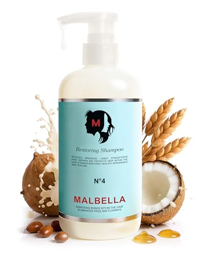 Hydrolyzed Wheat Protein & Argan Oil Sulfate-Free Hair Shampoo for Dry & Frizzy Hair