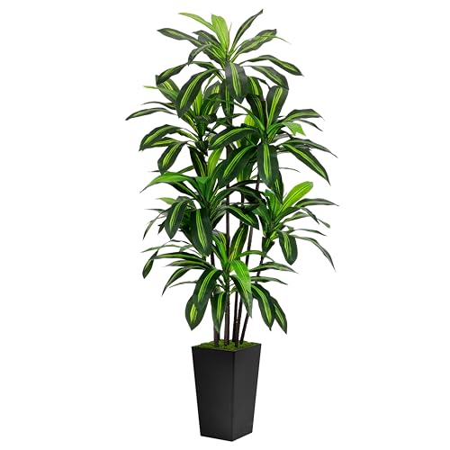 Artificial 6FT Dracaena Tree with Black Tall Planter - Realistic Indoor Decor