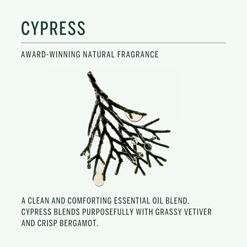 Corpus Cypress Strengthening Conditioner - Detangling, 9 fl oz (Pack of 1)