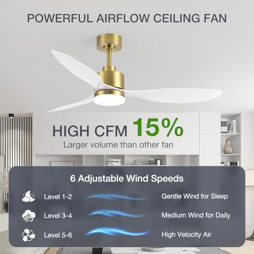 Breezary 52-Inch Gold & White Ceiling Fan with Lights and Remote, Reversible Blades, Quiet DC Motor for Large Rooms