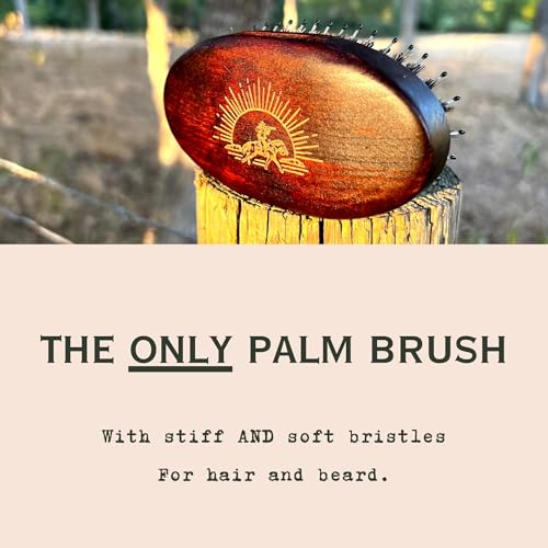 Men's Beard & Hair Grooming Brush - Dual Soft & Stiff Boar & Nylon Bristles, Travel Size, Gift Tin