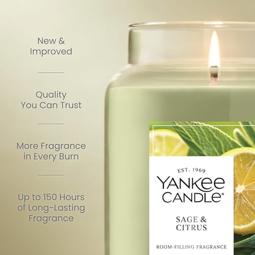 Yankee Candle Sage & Citrus Large Jar Candle Pack of 4 - Up to 150 Hours Burn Time, Giftable Home Fragrance