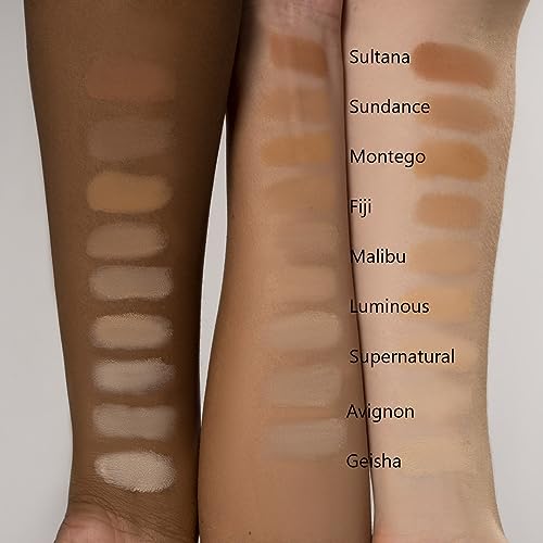 Refill Foundation Powder + Compact - Luminous Light to Light Medium Vegan
