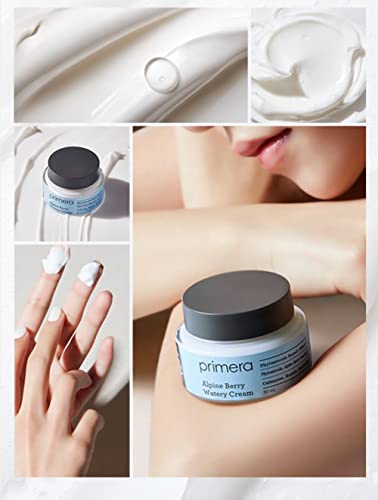Primera Alpine Berry Watery Cream 50ml – Hydrating Aloe & Vitamin C facial moisturizer