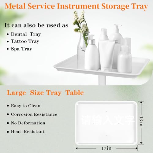Salon Tray, Salon Rolling Tray with Adjustable Height, Salon Tray on Wheels, Salon Color Tray Ideal Use As Tattoo Tray, Medical Tray and Dental Tray