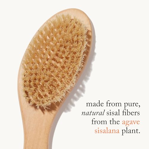 Goop Natural Dry Body Brush with Wooden Handle & Sisal Fibers – Detox & Exfoliate Skin