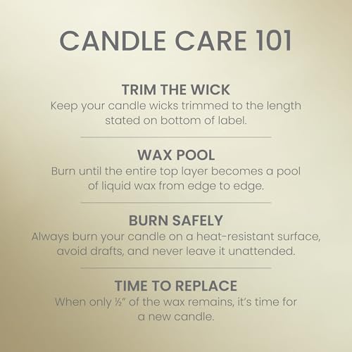 Yankee Candle Sage & Citrus Large Jar Candle Pack of 4 - Up to 150 Hours Burn Time, Giftable Home Fragrance