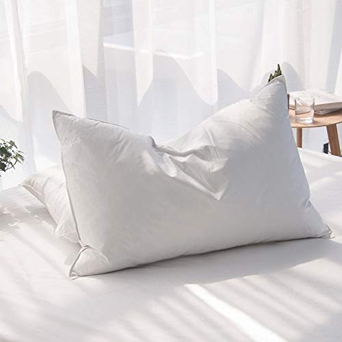 AIKOFUL Queen Size Goose Feather & Down Pillow Set of 2 - Hotel Quality, Ethically Sourced