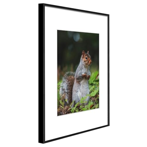 Real Glass Black Aluminum 16x20 Frame Set - Pack of 3 with Mat