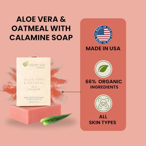 Aspen Kay Naturals Aloe Vera & Oatmeal Soap Bar with Calamine, Natural & Organic Ingredients - Organic Aloe Vera & Colloidal Oats. Face & Body - for Men, Women & Teens. Gentle Body Wash. 4.5 oz Bar