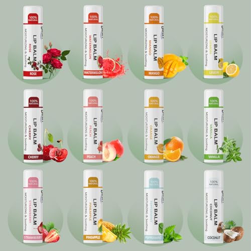 Dmsky Lip Balm Bulk Pack of 360 - Fruit Flavors Hydrating Lip Moisturizer for Men Women Kids - 0.15 Oz