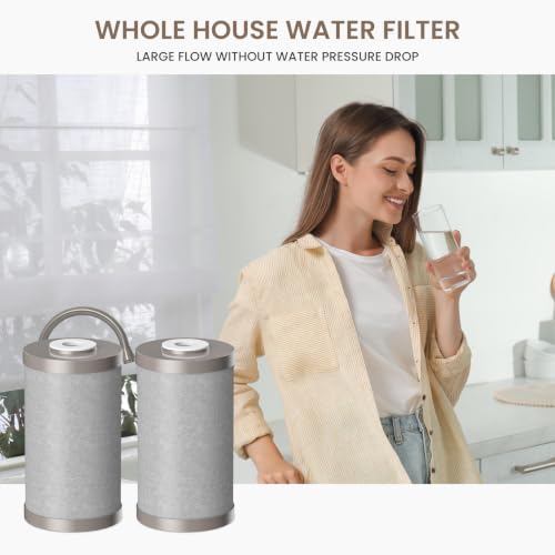 Replacement Water Filter Cartridges for Aquasure Fortitude V2 Series - 2 Pack