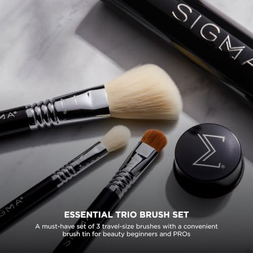 Travel Makeup Brush Set - 3 Pc Essential Synthetic Bristle Brushes with Case - Black