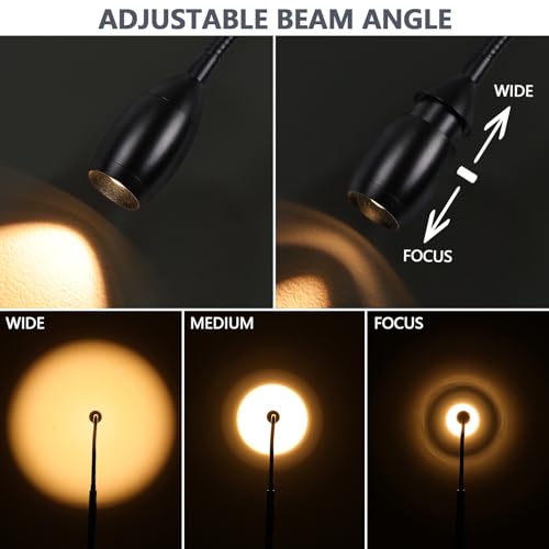 Matte Black Adjustable LED Floor Lamp - 72-Inch Dimmable Gooseneck with Remote