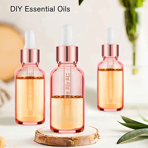PrettyCare Glass Eye Dropper Bottles 2oz (60ml), 63 Pack Empty Thick Rose Glass Bottles Bulk with Leakproof Caps - With Labels & Funnels for for Storage, Travel,Essential Oils, DIY Serums, Tincture