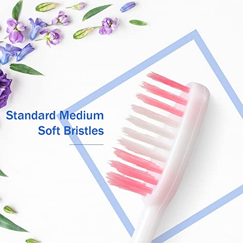 250 Pack Soft Bristle Travel Toothbrushes - Individually Wrapped Multi-Color Set (Honeydak)