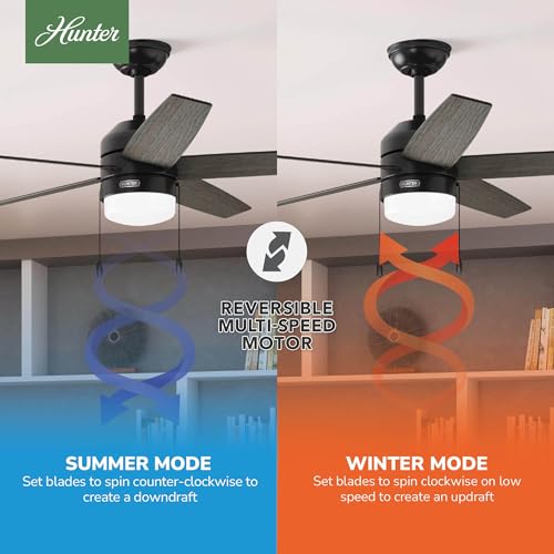 Hunter Bardot Indoor Ceiling Fan 52 Inch Matte Black with Light & Reversible Blades