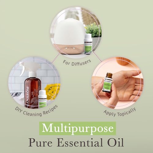 Pranarom Certified Organic Australian Sandalwood Essential Oil (5ml), 100% Pure Natural Therapeutic Grade for Home Diffusing, Aromatherapy, Skincare, Candle Making, DIY Perfumes (5ml, Helichrysum)