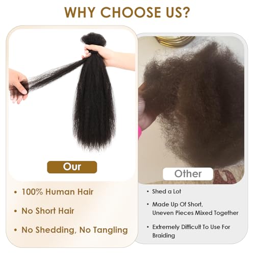 Pre Stretched Afro Kinky Straight Human Hair Bulk for Braids & Locs - 14 Inch, 50g/Pack - 1B Variation