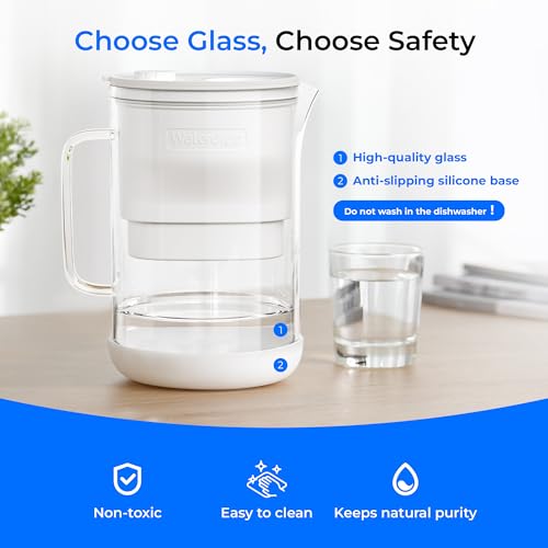 10-Cup Glass Water Filter Pitcher with 3 Replaceable NSF Certified Filters