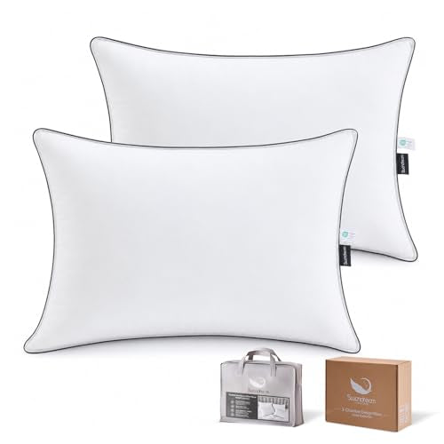 Swandream White King Goose Feather & Down Pillows 2 Pack - Hotel Luxury 3-Chamber Support