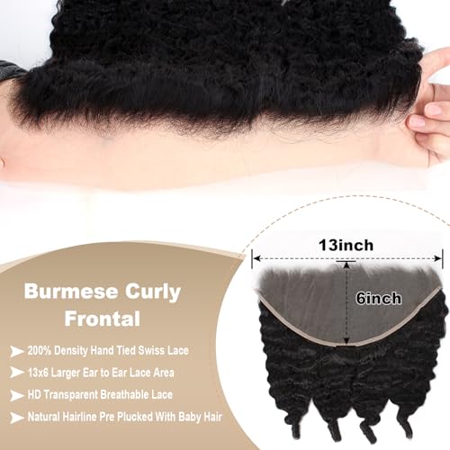 Rilago 16 inch 13x6 Lace Frontal Burmese Curly Human Hair Wig Closure