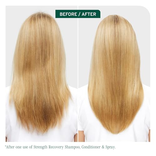 Biolage Winter Rescue Kit - Hydra Source and Strength Cure Mini Shampoo, Conditioner and Scalp Sync Concentrate, Hydrates and Repairs Damage, For Healthy Scalp And Strong Hair