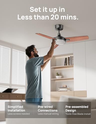 DREO Black 42-Inch Smart Ceiling Fan with Lights & Remote