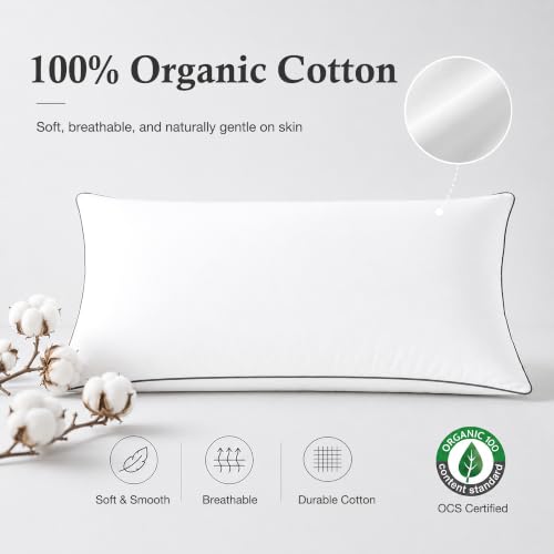 DWR Goose Feather Down Body Pillow - Organic Cotton Cover, Medium, 20x54 - Body Pillow Only