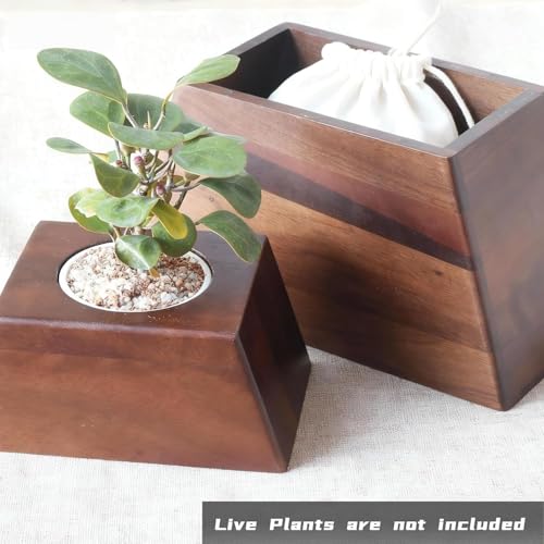 Walnut Urn for Ashes with Removable Planter Lid – Solid Wood Memorial Keepsake