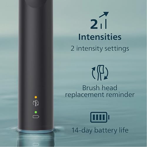 Electric Toothbrush Philips Sonicare ProtectiveClean White/Grey 1 Pack