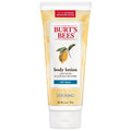 Burt's Bees Cocoa & Cupuacu Body Lotion for Dry Skin 2-Pack