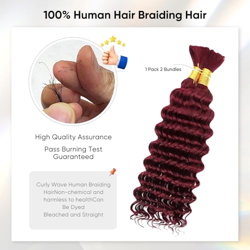 99J Burgundy Human Braiding Hair 16 Inch 100g Deep Wave Bundles for Knotless & Boho Braids
