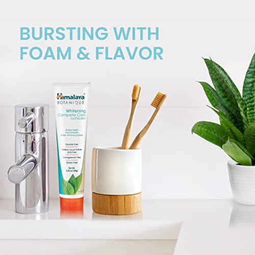 Himalaya Botanique Whitening Complete Care Toothpaste - Mint, 5.29 Oz Pack of 4