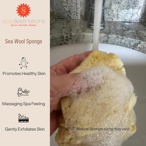 Spa Destinations Natural Sea Wool Sponge 5-6" Natural Renewable Resource Bath & Shower