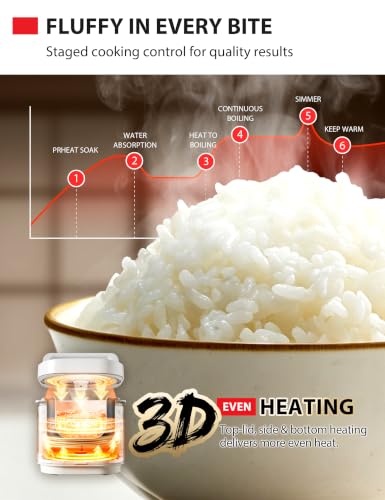 TOSHIBA 10-Cup Heritage Bento Rice Cooker with 9 Functions, Digital Control & 3D Heating