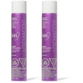 ion Flexible Hair Spray, Humidity Resistant, Quick Drying, Lasting Shine, 10 oz (Pack of 2)
