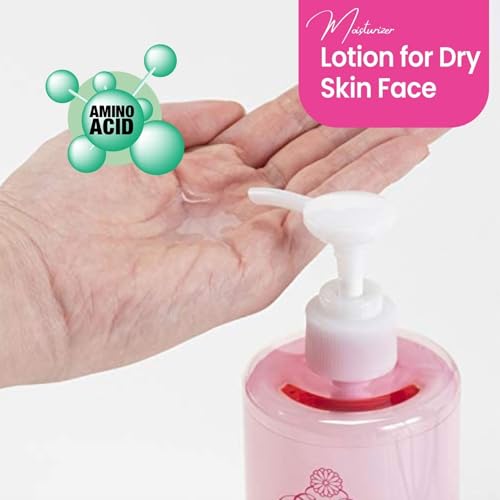 Kikumasamune Hydrating Face Lotion & Face Serum Duo, Face Moisturizer Lotion & Serum for Women with Fermented Rice Extract, Ceramide& Soybean Protein, Japanese Daily Skincare 22.98 fl oz