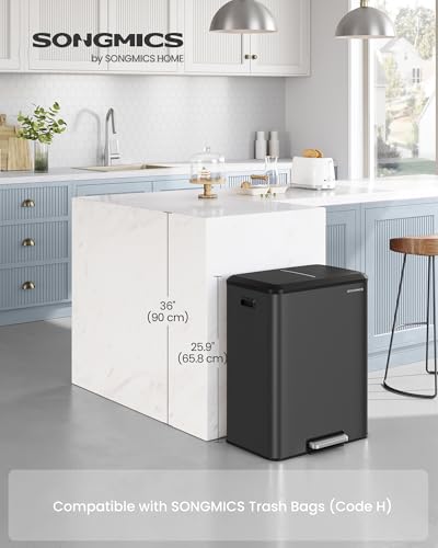 SONGMICS Stainless Steel Trash Can 2 x 8 Gallon, Black - Version 2