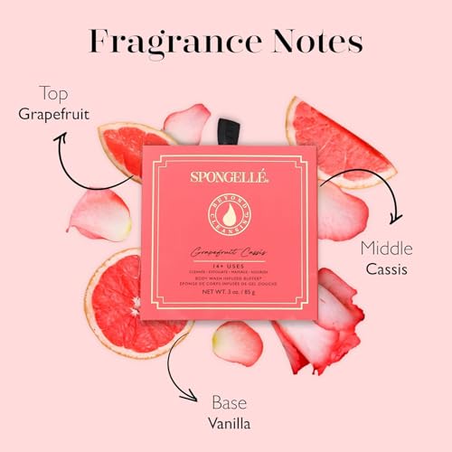 Bath Sponge with Built-In Body Wash - Coconut Verbena, Grapefruit Cassis & Freesia Pear | Gift Set with Loofah & Box - 14+ Uses
