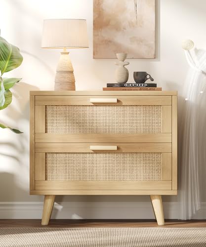 Keehusux 23.6-Inch Rattan Nightstand with Charging Station & Two Drawers
